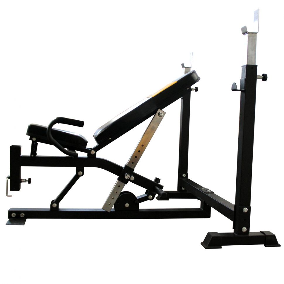 Силовая скамья со стойками DFC Powergym BN014